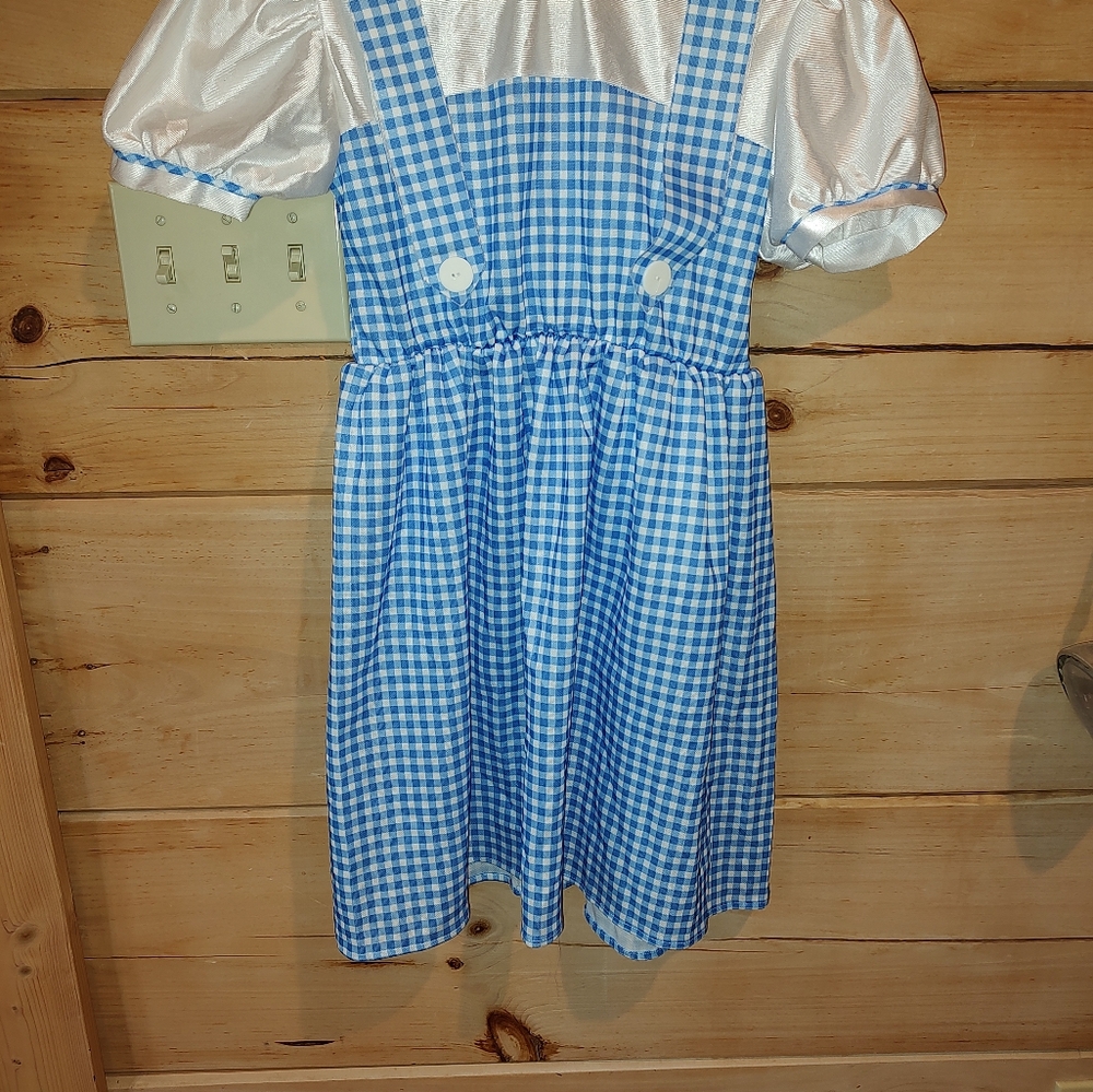 Dorothy Wizard of Oz Halloween costume dress